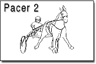 Pacer2