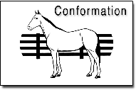 Conformation