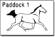 Paddock1