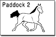 Paddock2