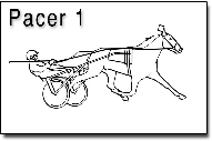 Pacer1